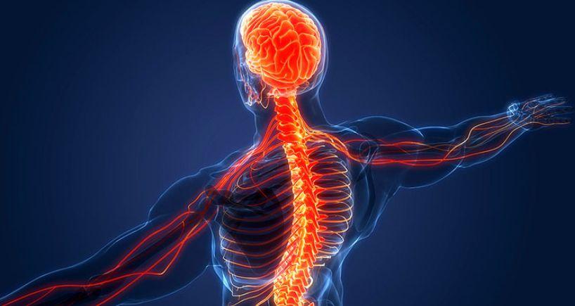 Nervous system regulation for treatment centers